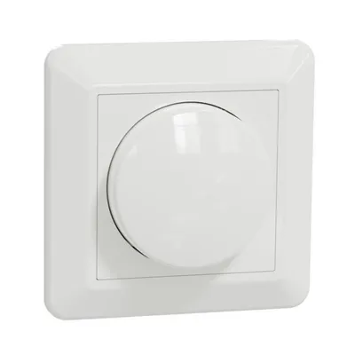Valonsäädin Schneider Electric ELKO RS Nordic LED RCL/UNI